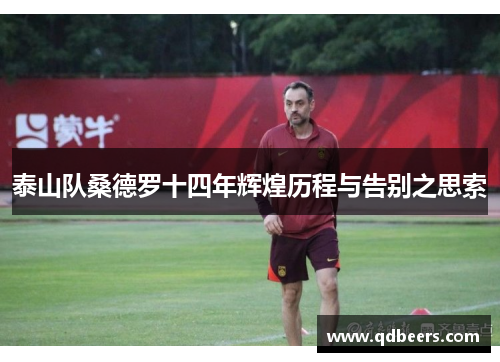 泰山队桑德罗十四年辉煌历程与告别之思索