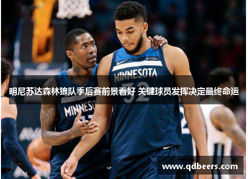 明尼苏达森林狼队季后赛前景看好 关键球员发挥决定最终命运